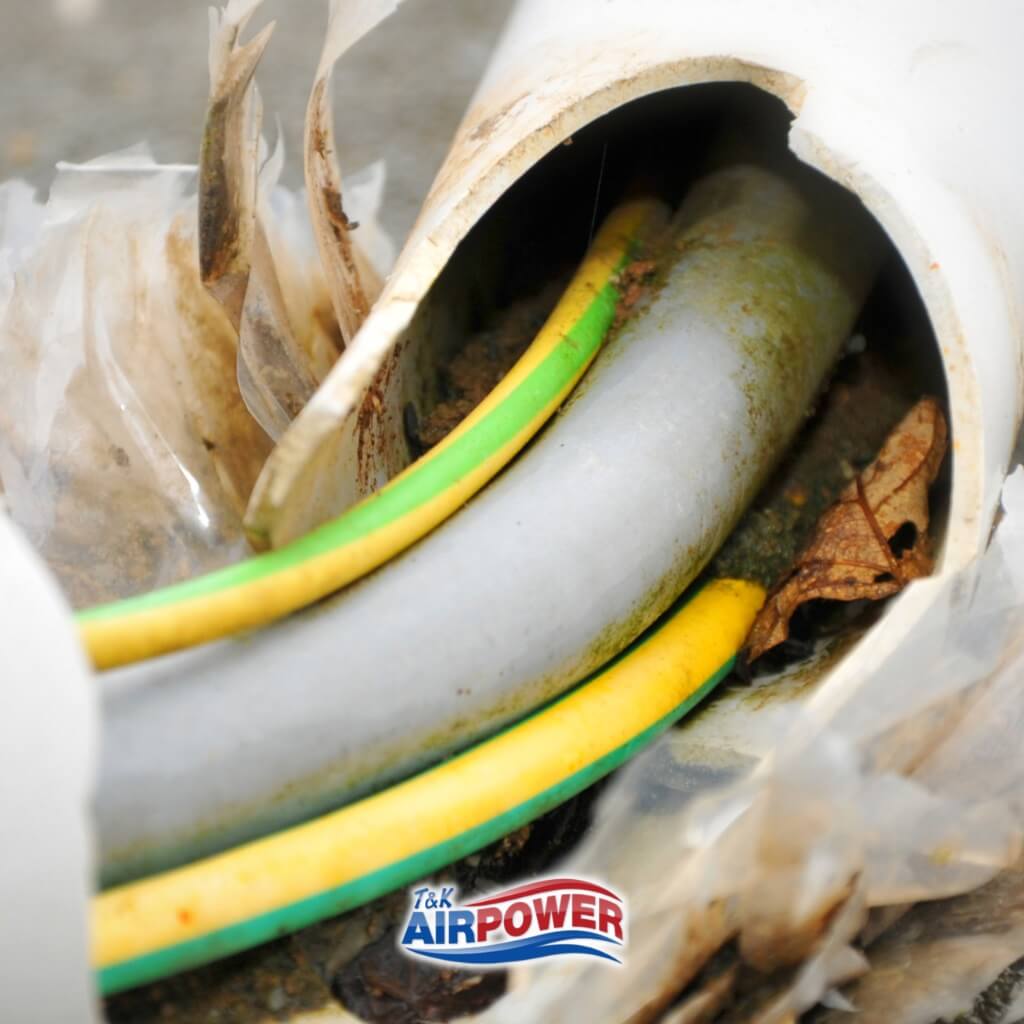 Saving Lives with Timely Electrical Wiring Repair: What You Need to Know 16 Exposed electrical wires in damaged conduit